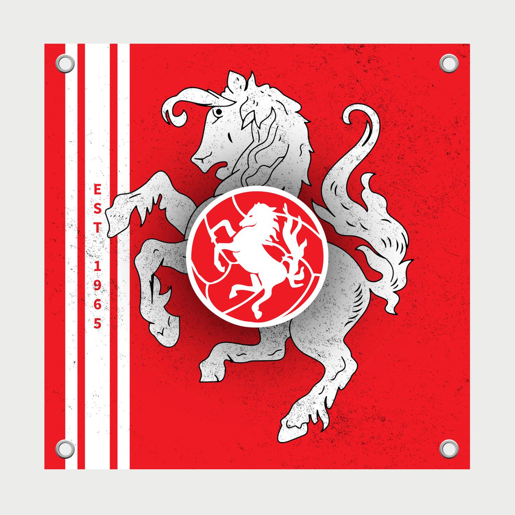 FC Twente - Het Twentse Ros Tuinposter